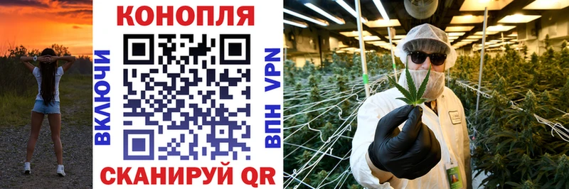 Купить  Ленинградская  Канабис VHQ 